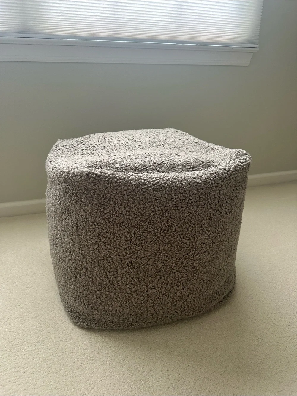 Pottery Barn Cozy Teddy Faux Fur Pouf